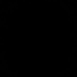 Meet your Posher, Rose